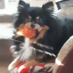 Meet your Posher, Lesley